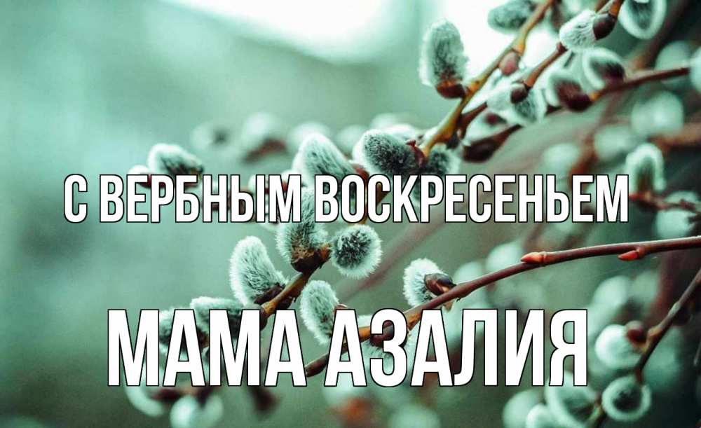 Открытка на каждый день с именем, Мама-Азалия С вербным воскресеньем верба Прикольная открытка с пожеланием онлайн скачать бесплатно 