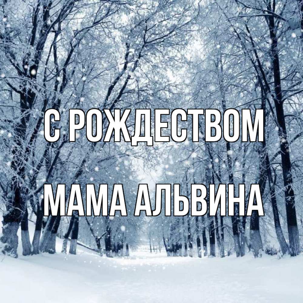 Открытка на каждый день с именем, Мама-Альвина С рождеством снег, лес, парк Прикольная открытка с пожеланием онлайн скачать бесплатно 