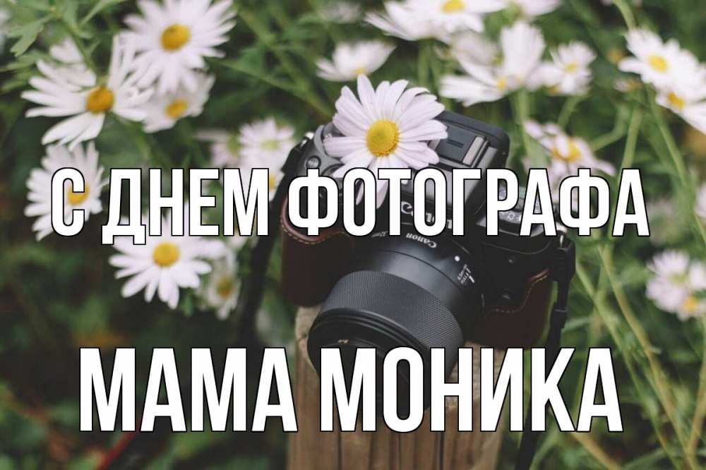 Открытка на каждый день с именем, Мама-Моника С днем фотографа с днем фотографа Прикольная открытка с пожеланием онлайн скачать бесплатно 