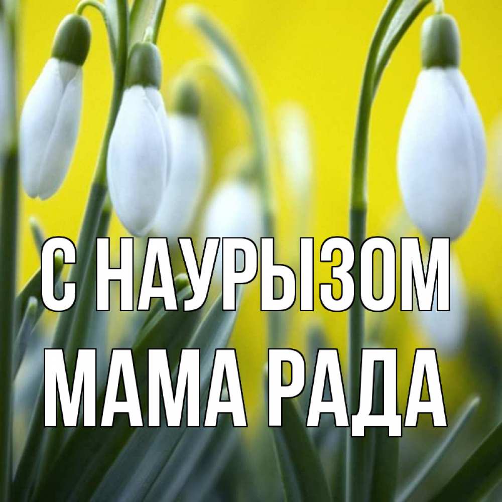 Открытка на каждый день с именем, Мама-Рада С наурызом весенние цветы Прикольная открытка с пожеланием онлайн скачать бесплатно 