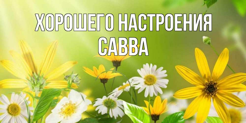 Открытка на каждый день с именем, Савва Хорошего настроения цветы Прикольная открытка с пожеланием онлайн скачать бесплатно 