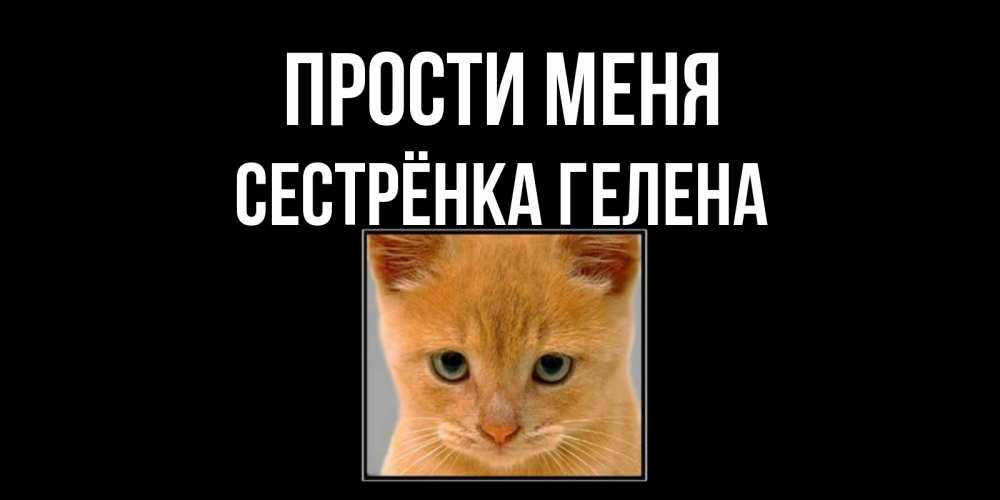 Открытка на каждый день с именем, Сестрёнка-Гелена Прости меня рыжий грустный кот просит прощения Прикольная открытка с пожеланием онлайн скачать бесплатно 