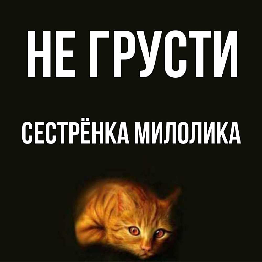 Открытка на каждый день с именем, Сестрёнка-Милолика Не грусти лежащий кот в темноте Прикольная открытка с пожеланием онлайн скачать бесплатно 
