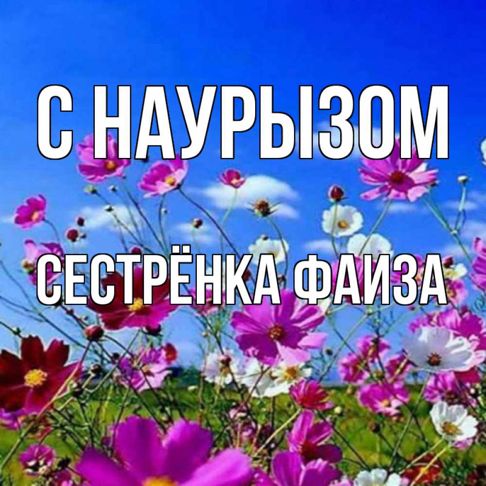 Открытка на каждый день с именем, Сестрёнка-Фаиза С наурызом цветы Прикольная открытка с пожеланием онлайн скачать бесплатно 