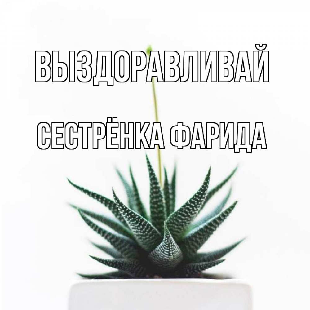 Открытка на каждый день с именем, Сестрёнка-Фарида Выздоравливай короче это непонятная колючка Прикольная открытка с пожеланием онлайн скачать бесплатно 