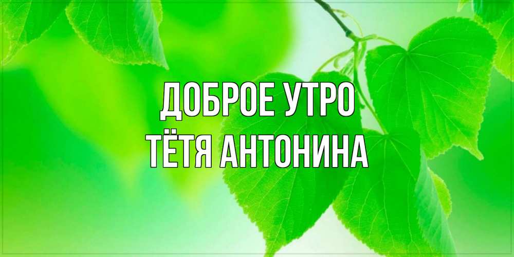 Открытка на каждый день с именем, Тётя-Антонина Доброе утро доброе утро с березовыми листьями Прикольная открытка с пожеланием онлайн скачать бесплатно 