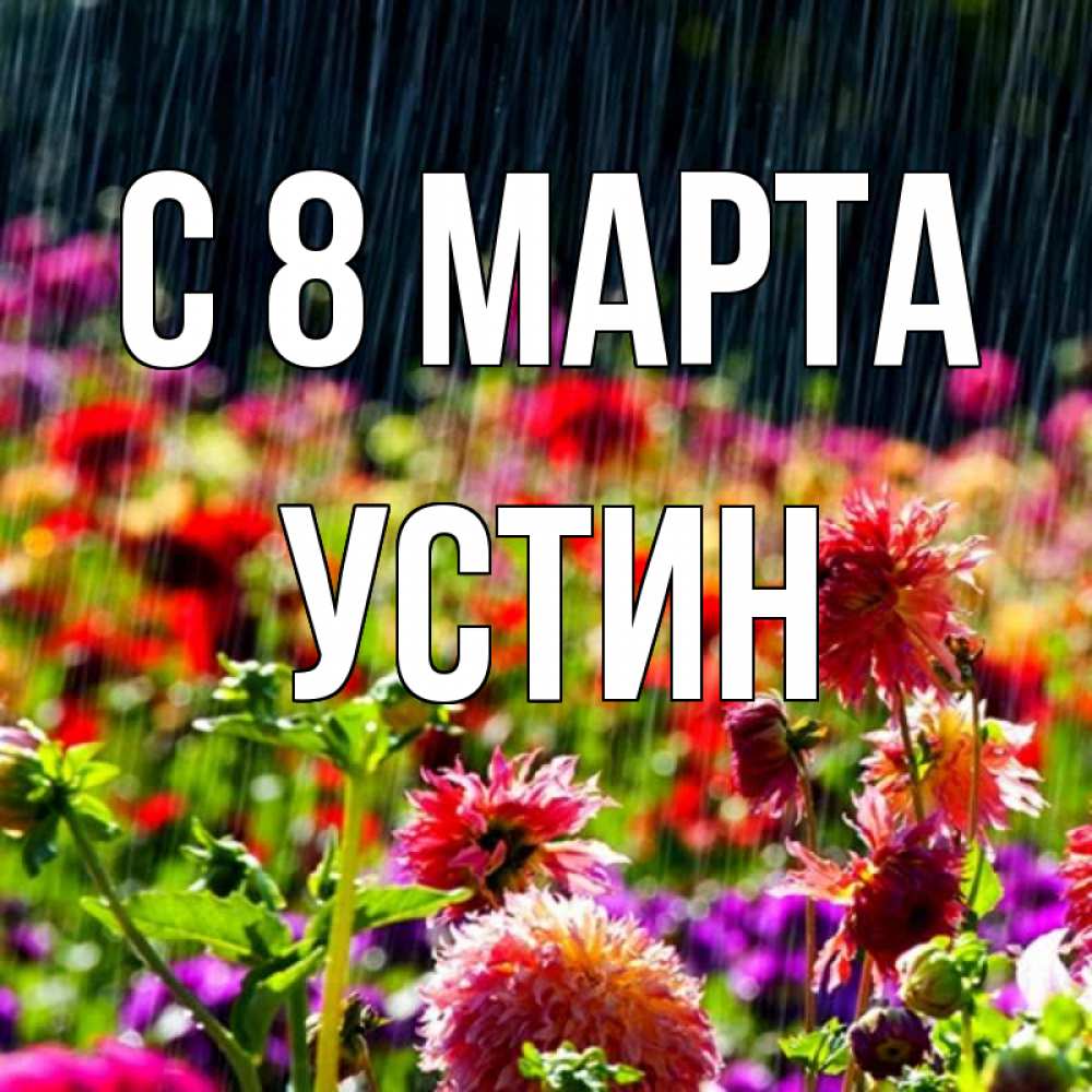 Открытка на каждый день с именем, Устин С 8 МАРТА цветы под дождиком к международному женскому дню Прикольная открытка с пожеланием онлайн скачать бесплатно 