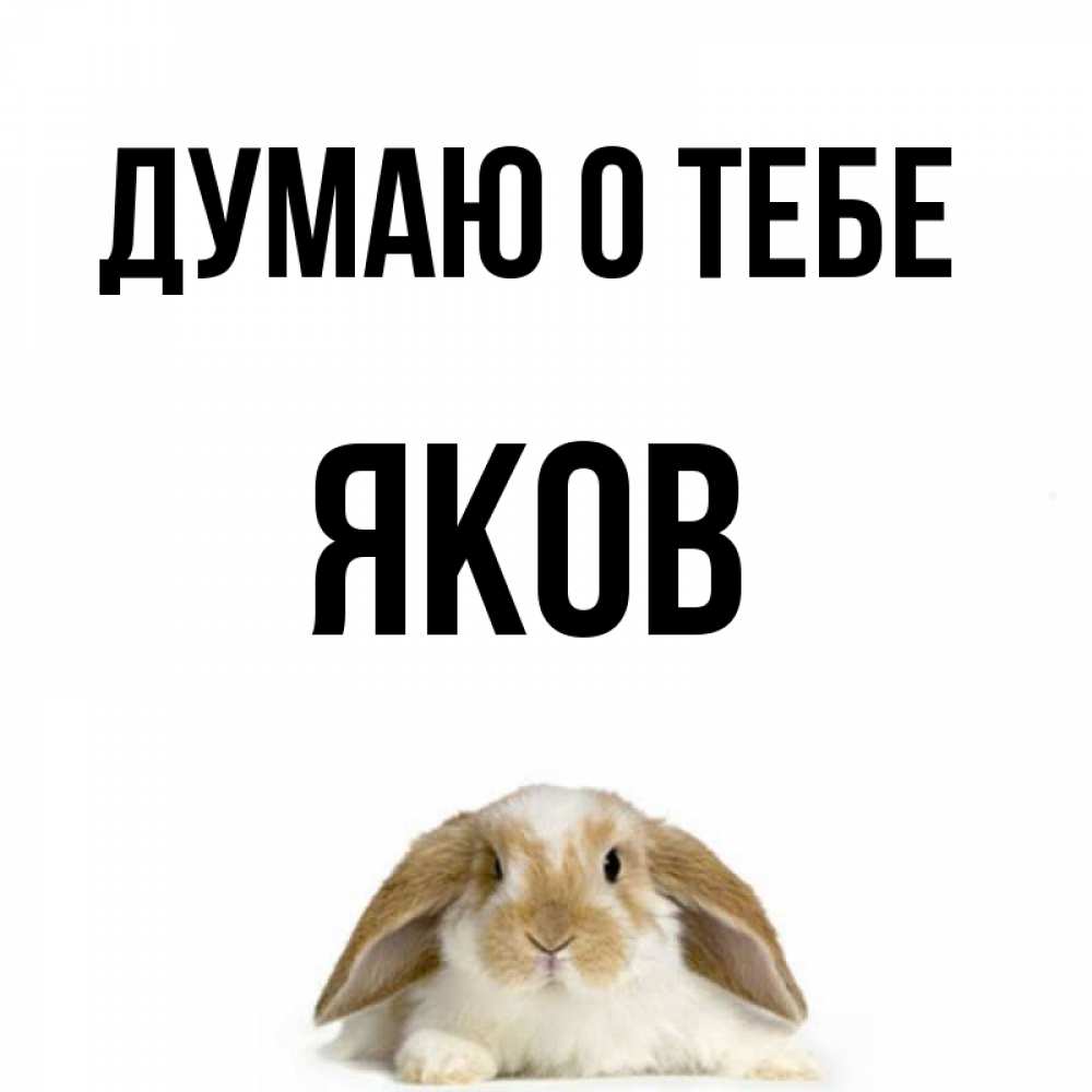 Имя яша