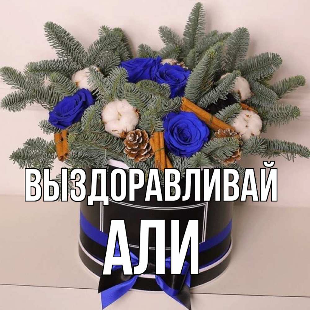 Открытка на каждый день с именем, Али Выздоравливай короче кто то загрузил эти шишки Прикольная открытка с пожеланием онлайн скачать бесплатно 
