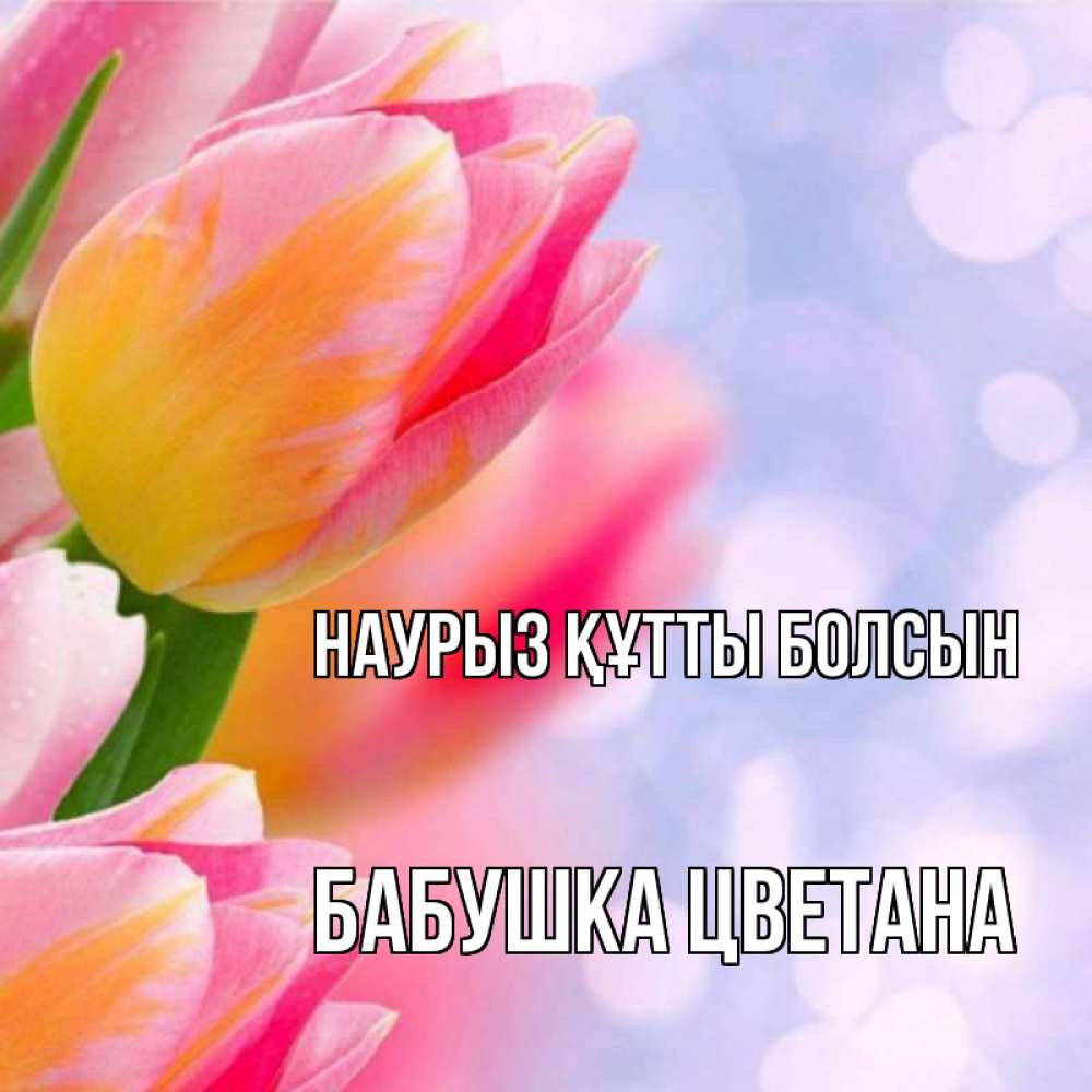 Открытка на каждый день с именем, Бабушка-Цветана Наурыз құтты болсын тюльпаны 2 Прикольная открытка с пожеланием онлайн скачать бесплатно 