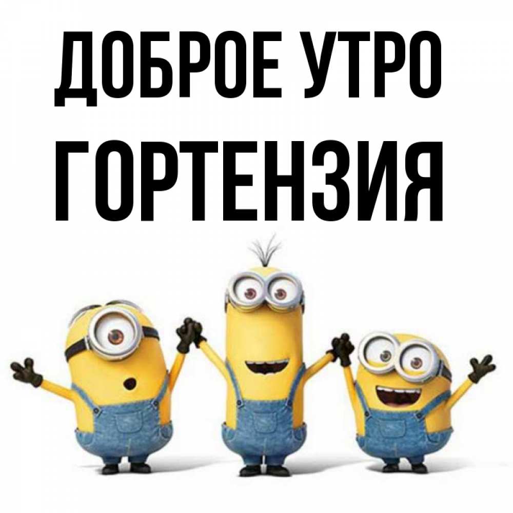 Открытка на каждый день с именем, Гортензия Доброе утро бодренького утра Прикольная открытка с пожеланием онлайн скачать бесплатно 