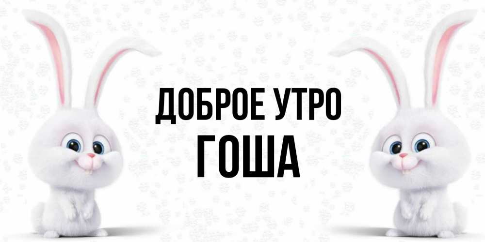 Доброе Утро Тимофей