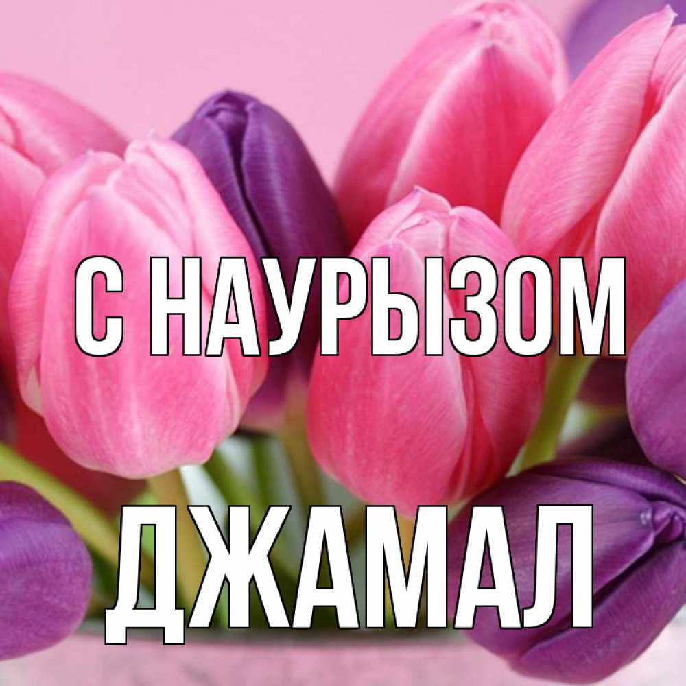 Открытка на каждый день с именем, Джамал С наурызом маме 1 Прикольная открытка с пожеланием онлайн скачать бесплатно 