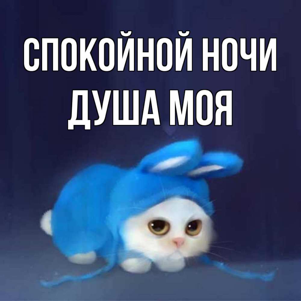 Открытка на каждый день с именем, Душа-моя Спокойной ночи кот в голубом костюме кролика с ушками Прикольная открытка с пожеланием онлайн скачать бесплатно 