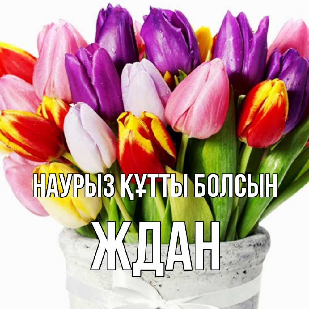 Открытка на каждый день с именем, Ждан Наурыз құтты болсын букет Прикольная открытка с пожеланием онлайн скачать бесплатно 