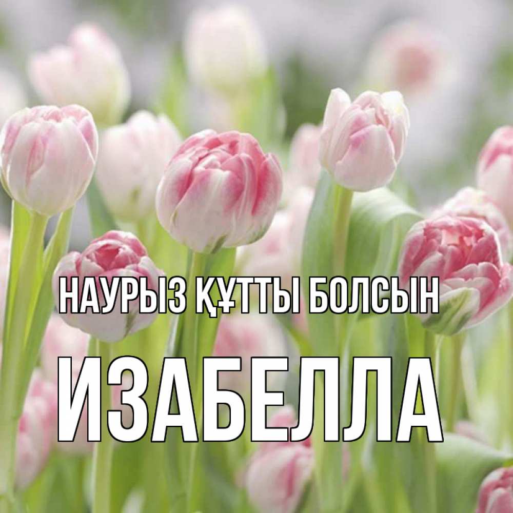 Открытка на каждый день с именем, Изабелла Наурыз құтты болсын цветы Прикольная открытка с пожеланием онлайн скачать бесплатно 