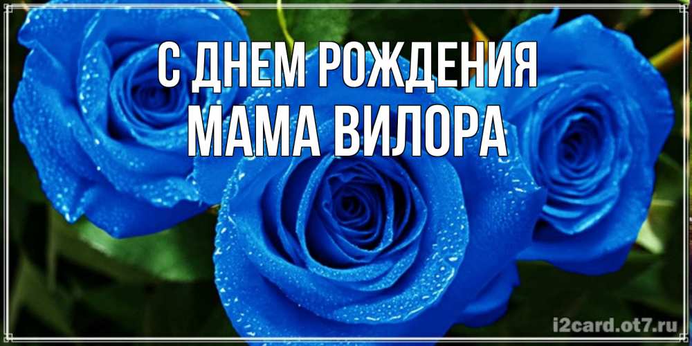 Открытка на каждый день с именем, Мама-Вилора С днем рождения розы с синим цветом Прикольная открытка с пожеланием онлайн скачать бесплатно 