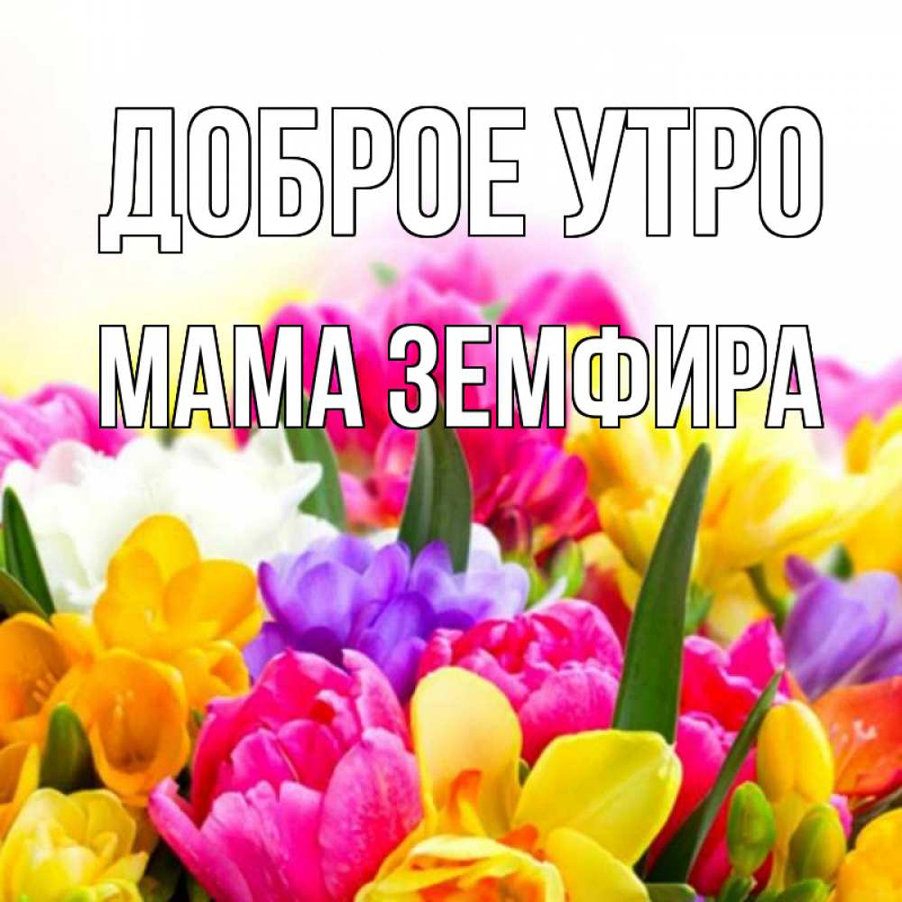 Открытка на каждый день с именем, Мама-Земфира Доброе утро создать открытку со свое подписью Прикольная открытка с пожеланием онлайн скачать бесплатно 