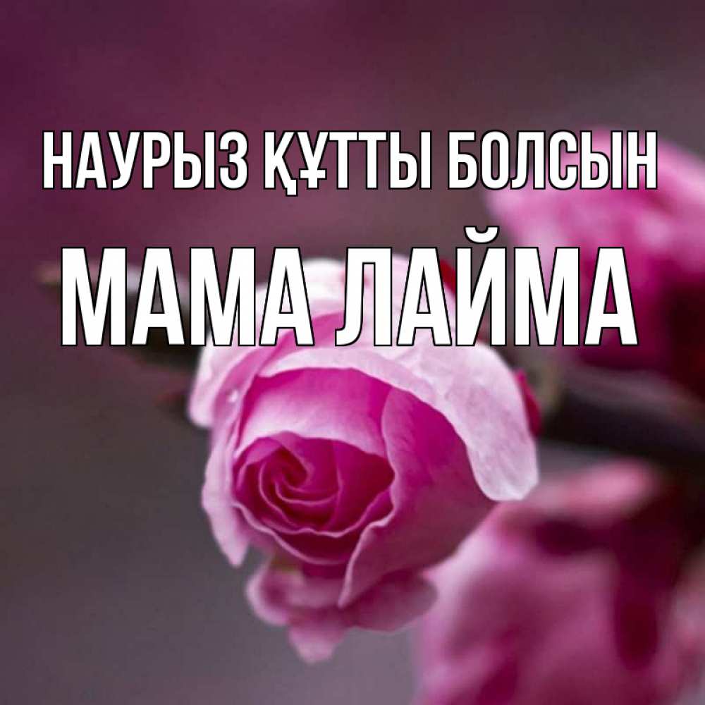 Открытка на каждый день с именем, Мама-Лайма Наурыз құтты болсын весна Прикольная открытка с пожеланием онлайн скачать бесплатно 