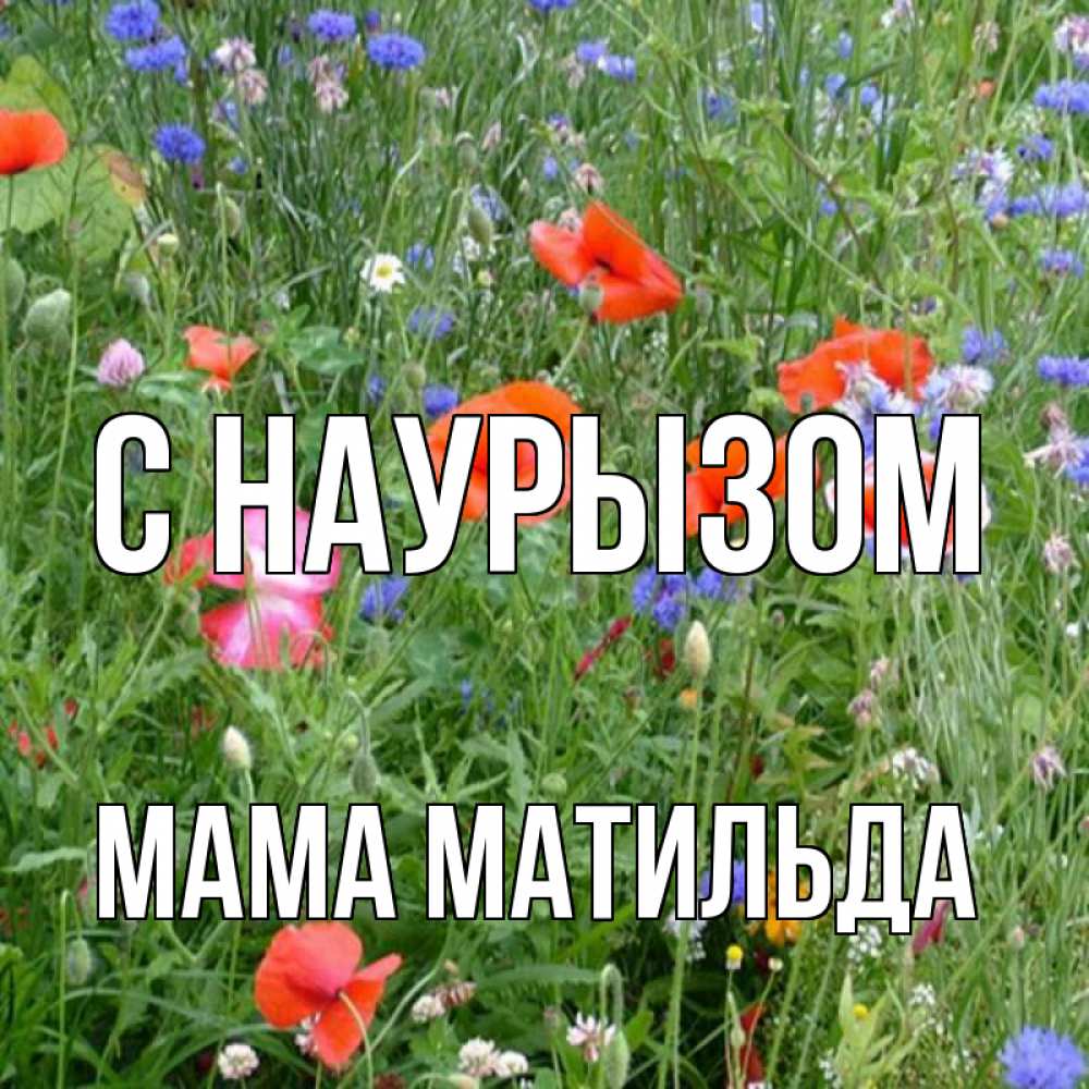 Открытка на каждый день с именем, Мама-Матильда С наурызом праздник весны наурыз супер открытка Прикольная открытка с пожеланием онлайн скачать бесплатно 