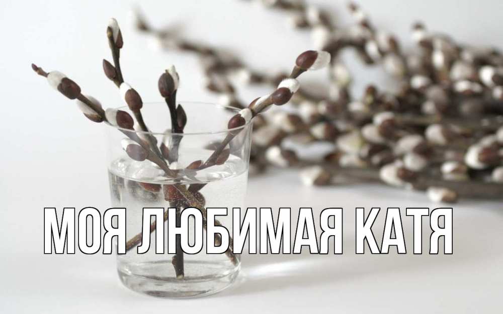 Открытка на каждый день с именем, Моя-любимая-Катя Главная верба Прикольная открытка с пожеланием онлайн скачать бесплатно 
