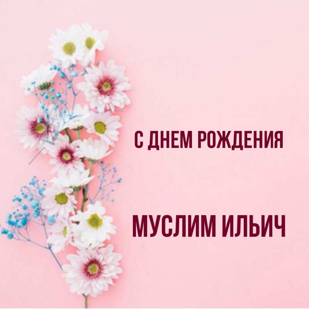 С Днем Рождения Муслим