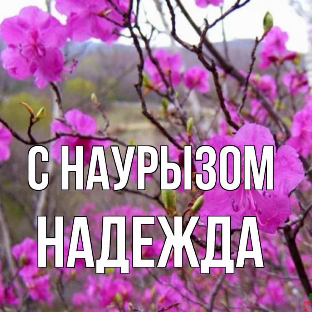 Открытка на каждый день с именем, Надежда С наурызом праздник весны наурыз Прикольная открытка с пожеланием онлайн скачать бесплатно 