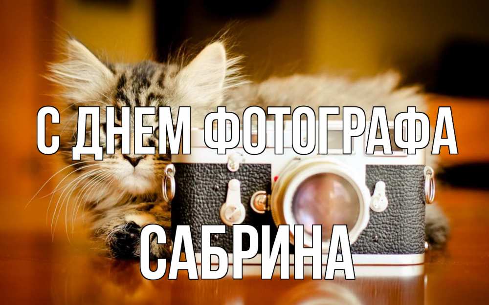 Открытка на каждый день с именем, Сабрина С днем фотографа с днем фотографа Прикольная открытка с пожеланием онлайн скачать бесплатно 