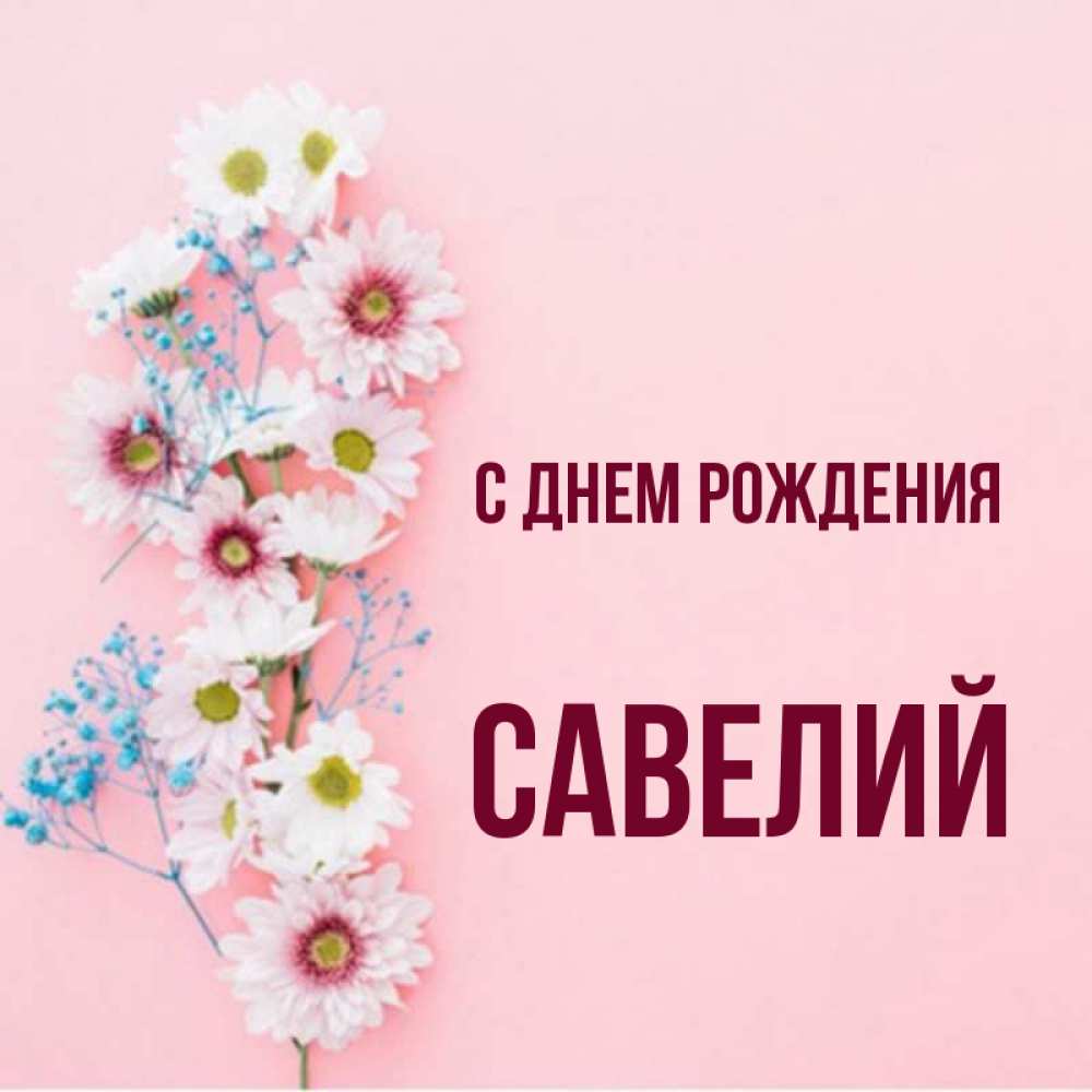 Открытка на каждый день с именем, Савелий С днем рождения Родная моя с днем рождения тебя картинка с цветами белыми и голубыми Прикольная открытка с пожеланием онлайн скачать бесплатно 