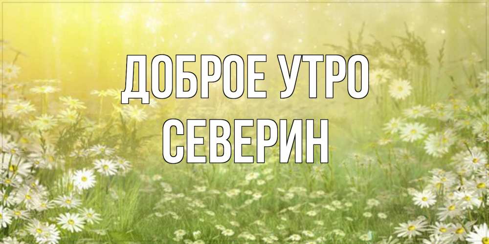 Открытка на каждый день с именем, Северин Доброе утро доброе утро Прикольная открытка с пожеланием онлайн скачать бесплатно 