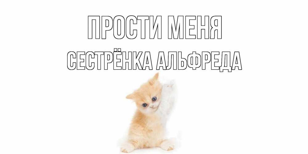 Открытка на каждый день с именем, Сестрёнка-Альфреда Прости меня кот Прикольная открытка с пожеланием онлайн скачать бесплатно 