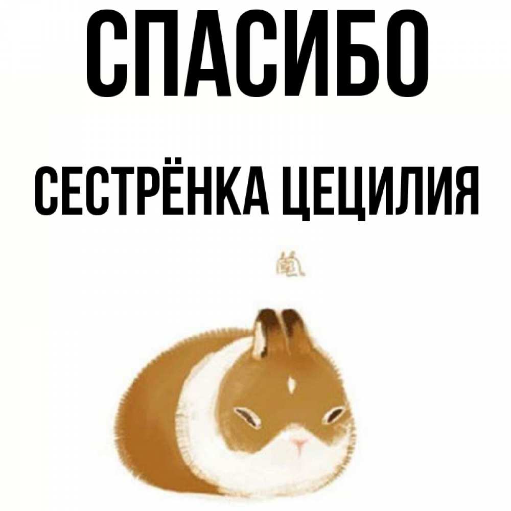 Открытка на каждый день с именем, Сестрёнка-Цецилия Спасибо коричнево белый домашний питомец Прикольная открытка с пожеланием онлайн скачать бесплатно 