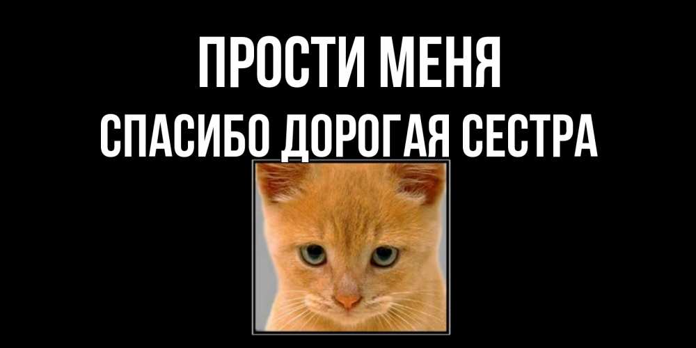 Открытка на каждый день с именем, Спасибо-дорогая-сестра Прости меня рыжий грустный кот просит прощения Прикольная открытка с пожеланием онлайн скачать бесплатно 