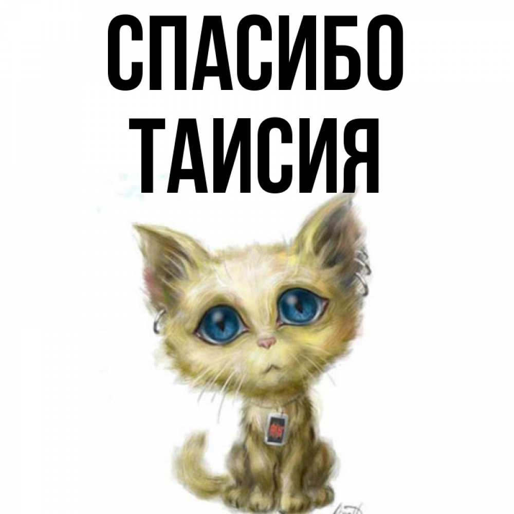 Открытка на каждый день с именем, Таисия Спасибо рисованный кот благодарит вас Прикольная открытка с пожеланием онлайн скачать бесплатно 