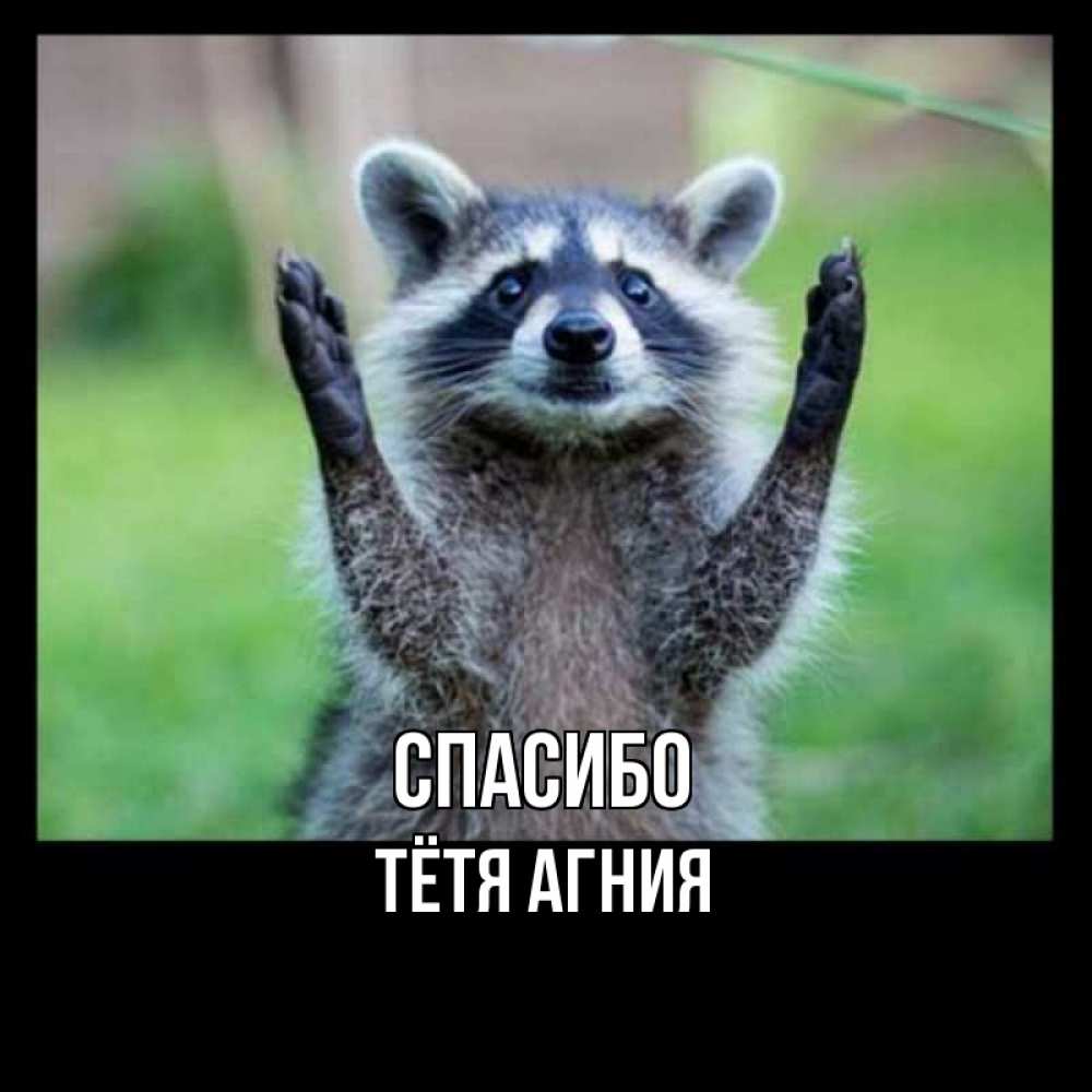Открытка на каждый день с именем, Тётя-Агния Спасибо милые животные Прикольная открытка с пожеланием онлайн скачать бесплатно 
