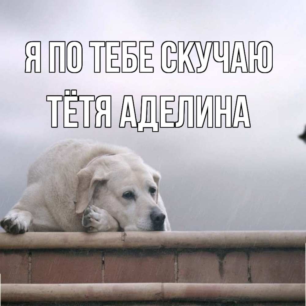 Открытка на каждый день с именем, Тётя-Аделина Я по тебе скучаю ждет Прикольная открытка с пожеланием онлайн скачать бесплатно 