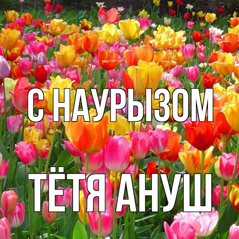 Открытка на каждый день с именем, Тётя-Ануш С наурызом праздник весны наурыз 4 Прикольная открытка с пожеланием онлайн скачать бесплатно 