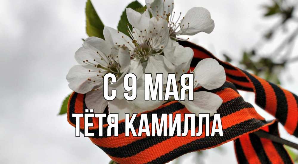 Открытка на каждый день с именем, Тётя-Камилла С 9 мая 9 мая Прикольная открытка с пожеланием онлайн скачать бесплатно 