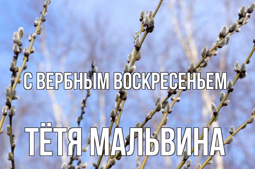 Открытка на каждый день с именем, Тётя-Мальвина С вербным воскресеньем верба Прикольная открытка с пожеланием онлайн скачать бесплатно 