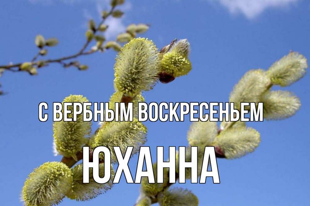 Открытка на каждый день с именем, Юханна С вербным воскресеньем верба Прикольная открытка с пожеланием онлайн скачать бесплатно 