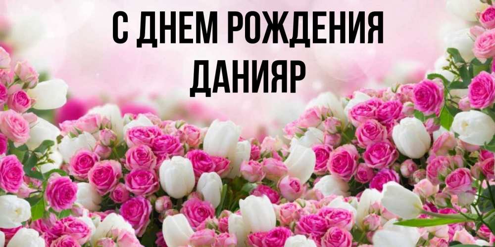 Открытка на каждый день с именем, данияр С днем рождения открытка с разными розами Прикольная открытка с пожеланием онлайн скачать бесплатно 