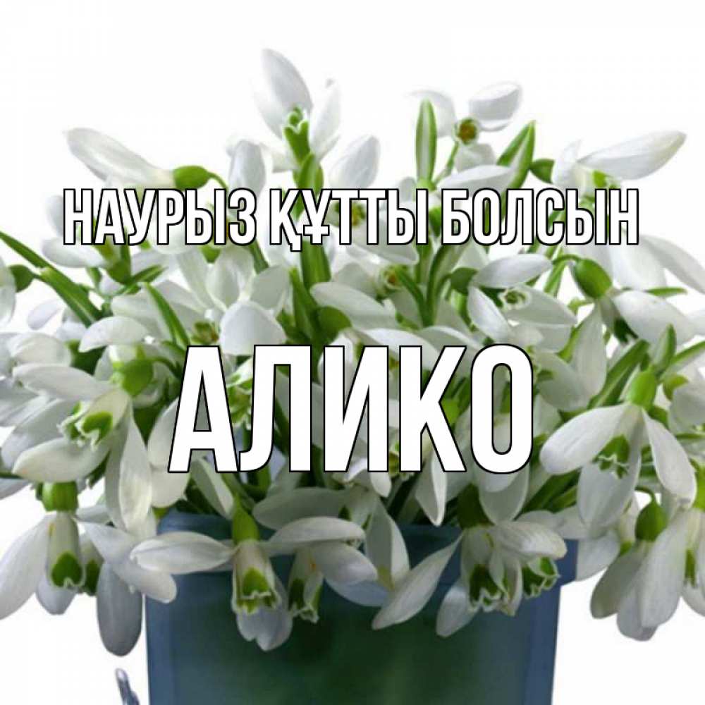 Открытка на каждый день с именем, Алико Наурыз құтты болсын цветы к наурызу Прикольная открытка с пожеланием онлайн скачать бесплатно 
