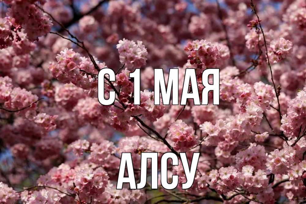 Открытка на каждый день с именем, Алсу С 1 мая С 1 мая Прикольная открытка с пожеланием онлайн скачать бесплатно 