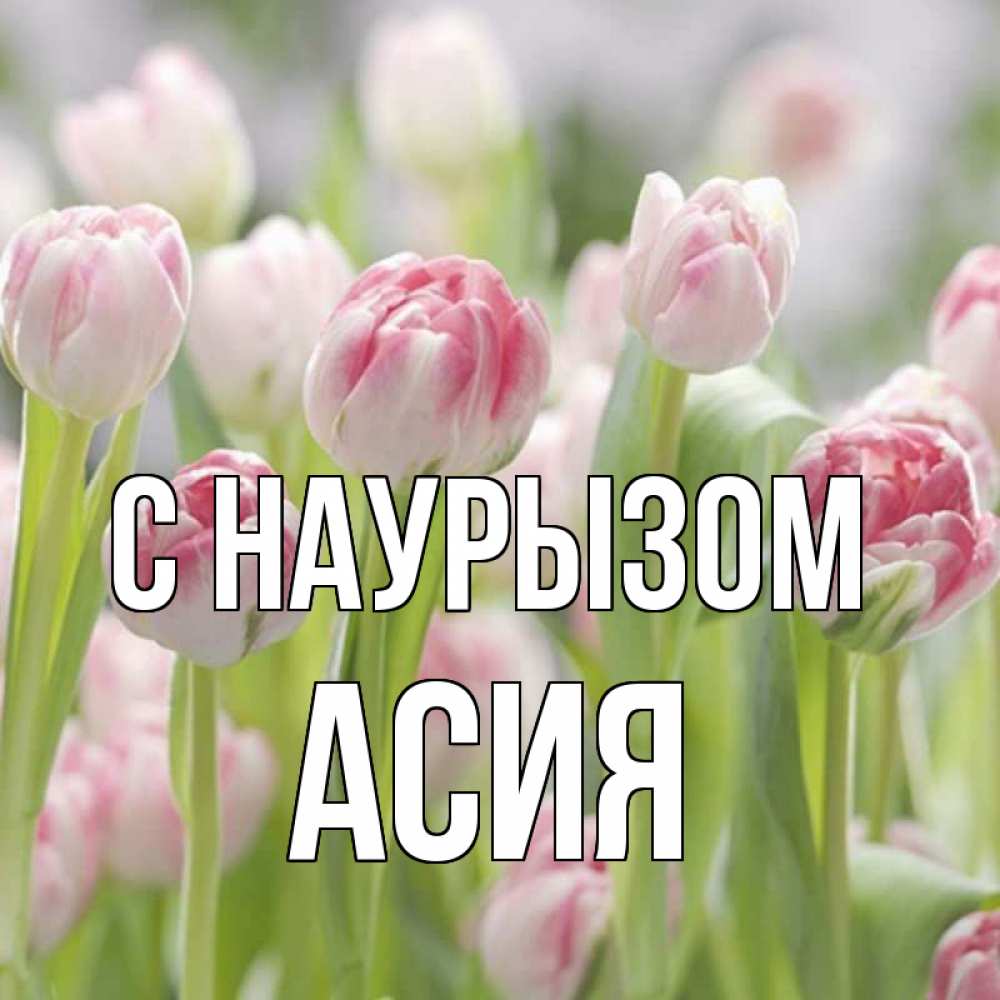 Открытка на каждый день с именем, Асия С наурызом цветы Прикольная открытка с пожеланием онлайн скачать бесплатно 