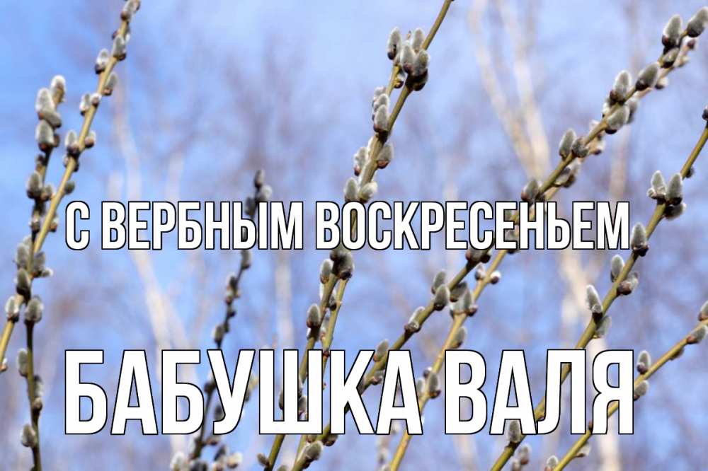 Открытка на каждый день с именем, Бабушка-Валя С вербным воскресеньем верба Прикольная открытка с пожеланием онлайн скачать бесплатно 