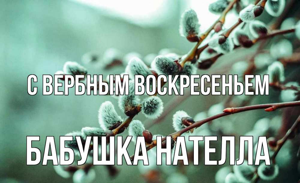 Открытка на каждый день с именем, Бабушка-Нателла С вербным воскресеньем верба Прикольная открытка с пожеланием онлайн скачать бесплатно 