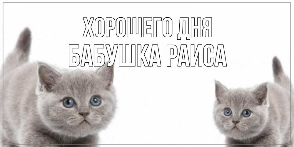 Открытка на каждый день с именем, Бабушка-Раиса Хорошего дня открытка с котами Прикольная открытка с пожеланием онлайн скачать бесплатно 