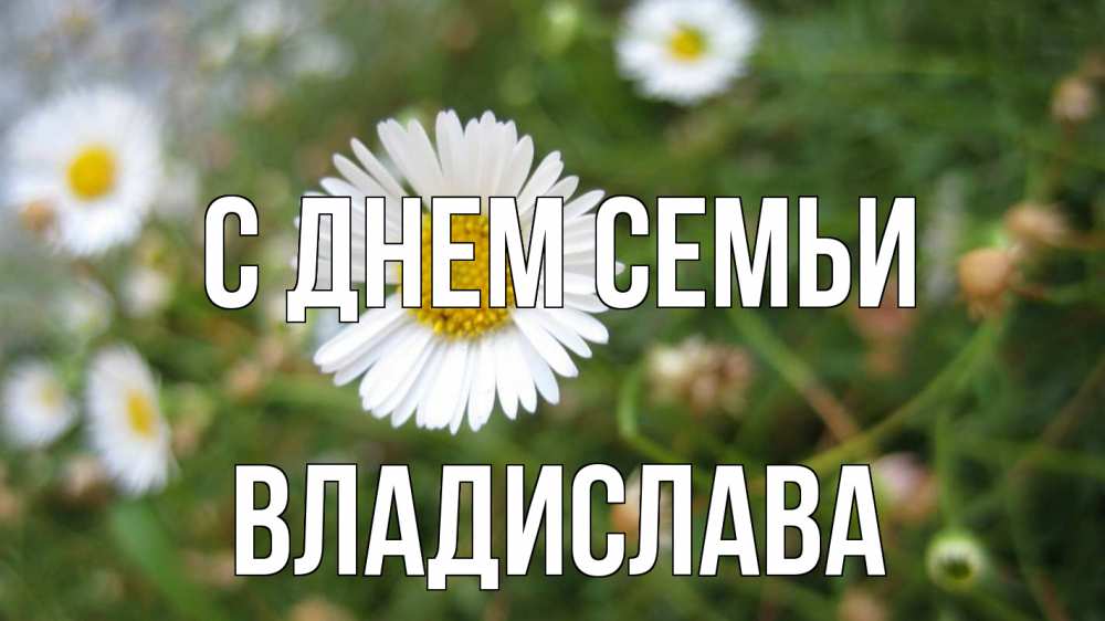 Открытка на каждый день с именем, Владислава С днем семьи с днем семьи Прикольная открытка с пожеланием онлайн скачать бесплатно 