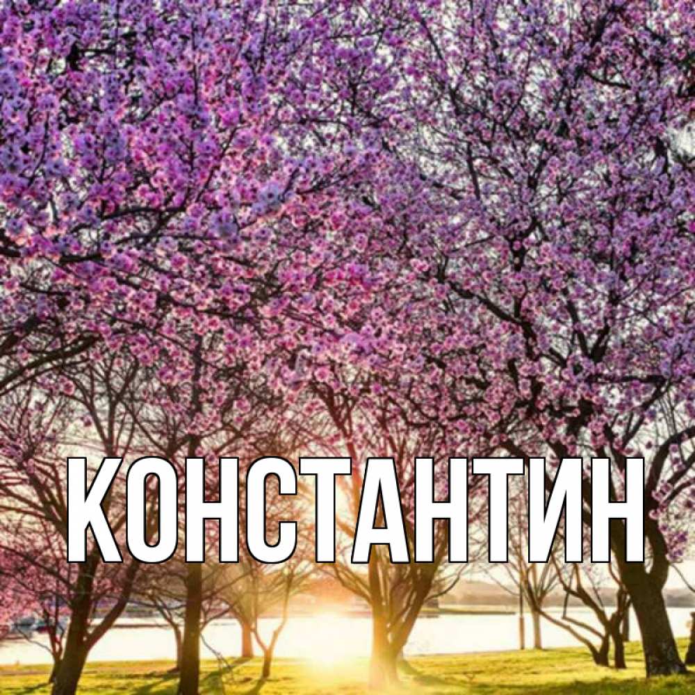 Открытка на каждый день с именем, Константин Главная праздник весны наурыз Прикольная открытка с пожеланием онлайн скачать бесплатно 