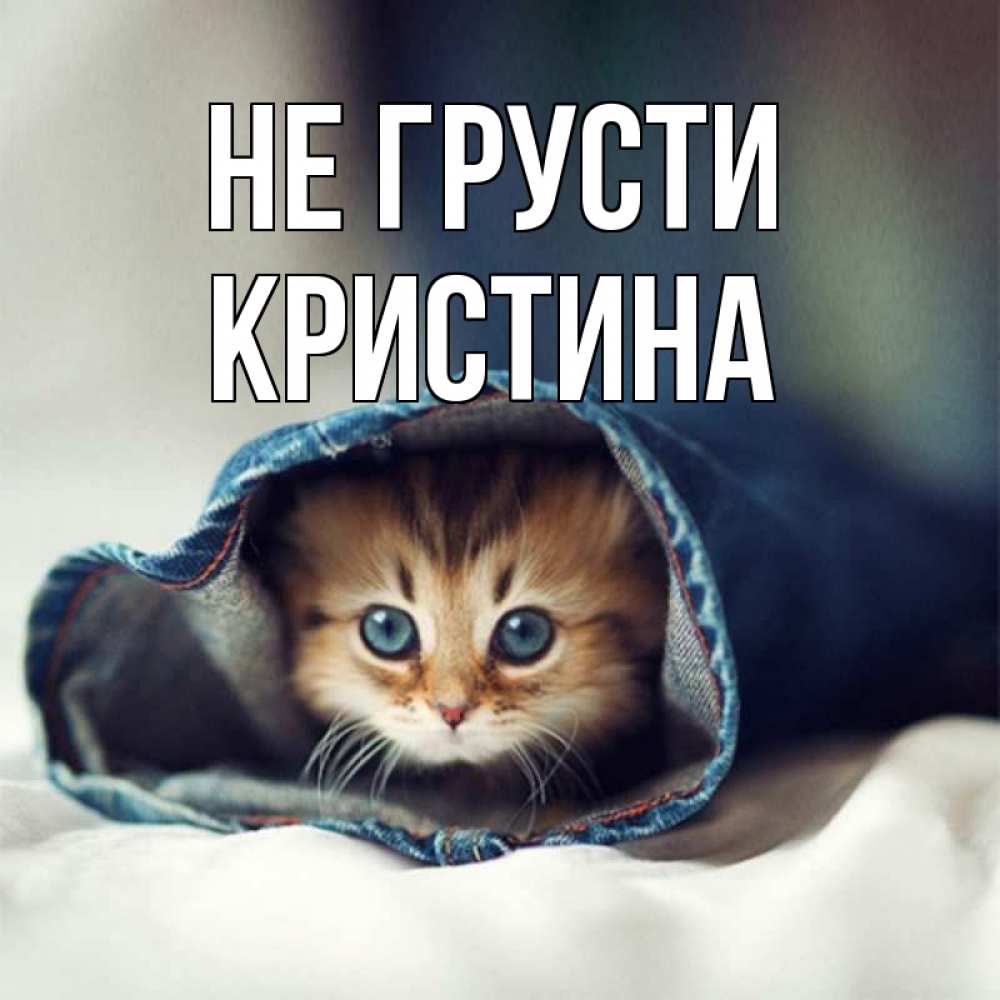 Открытка на каждый день с именем, Кристина Не грусти кот в одежде Прикольная открытка с пожеланием онлайн скачать бесплатно 